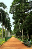 Lalbagh Botanical Gardens, Bangalore