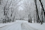 Winter 2013, Deer Grove Forest Preserve, Palatine, IL