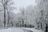 Winter 2013, Deer Grove Forest Preserve, Palatine, IL