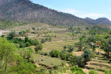 Village near Sehrmandi