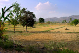 Village