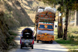 Traffic near Treeyan