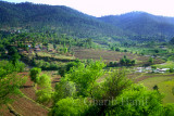 Village near Sehrmandi
