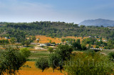 Village