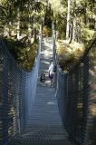 Timberland Trail Suspension Bridge