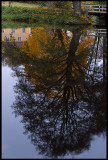 Autum colors in water - Huseby Bruk