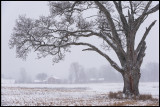 First snow of winter season - Gårdsby Växjö