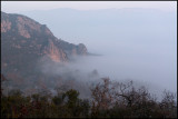 Dawn near river Segre