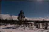 In the middle of the night - Moonshine near rosjokk - Lapland