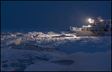 Looking for eagles at dawn in the pack ice outside Rausu