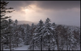 A snowy morning in central Hokkaido