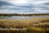 The Strand, Waterford, CT #593