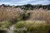The Strand, Waterford, CT #595