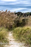 The Strand, Waterford, CT #596