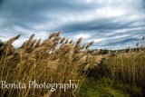 The Strand, Waterford, CT #603