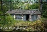 Waterford, CT #611
