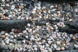 New London shoreline #773