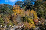 Connecticut River #831