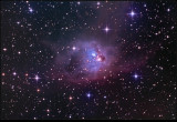 NGC 1788 Foxface Nebula