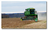 CR2_6146 Combining soybeans .....