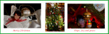CR2_6553  WIC # 141 -  Tis the Season