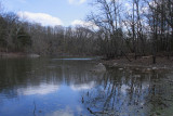 Duck Pond (a sinkhole pond)
