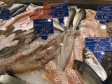 Sea bass (fromTuscany,Campania,Greece), Norwegian cod, calamari, dogfish, sole .. 7145