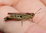 _20120912_4832.jpg