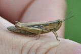 Bubbetorp Blekinge