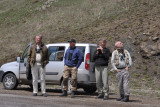 Birding along the road