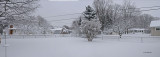 Backyard Pano