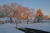 The Start To A Beautiful Day