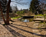 Nature Center Pond