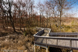Observation Deck Entrance