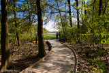 Silver Lake Trail