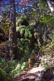 Path to the Grotto