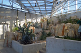 Kleberg Desert Pavilion