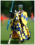 Sporting Events & Trips