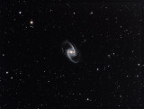 ngc1365