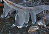 Ice in the river