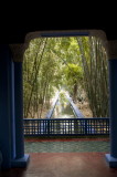 130316-562-Maroc-Marrakech-Jardin Majorelle.jpg