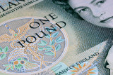 8 January: One Pound Note