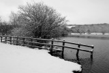 21 January: Cold Lake