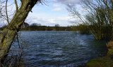 10 March: Pebley Reservoir