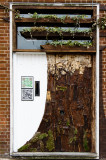 7 April: Tree or Door?!