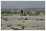 Siuslaw Sand Dunes13.jpg