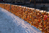  Cold and warm colors in a wintertime sunrise near Notre-Dame de Paris. 