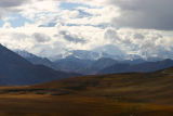 denali_7373