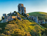 Corfe Castle at dawn