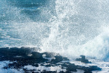 Ocean Spray
